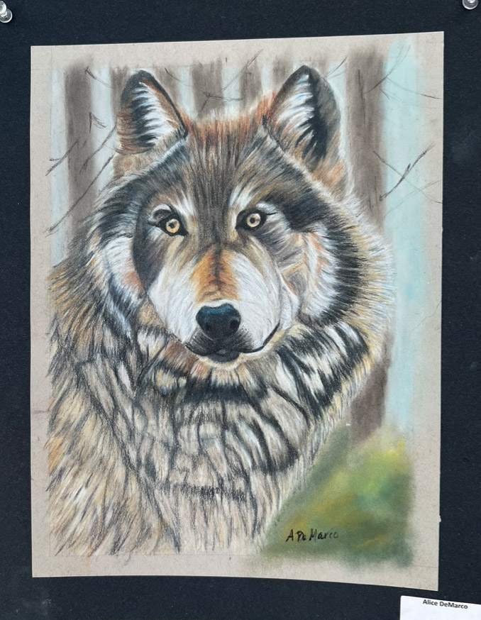 6. Alice_wolf_in_colored_pencil