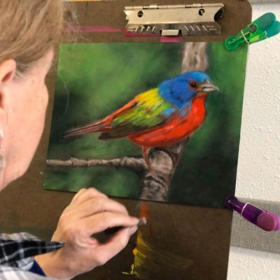 Soft_pastel_bird_by_artplusacademy_student